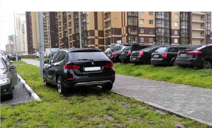 Киянин створив петицію через “хаотичне паркування на газонах”: що пропонує