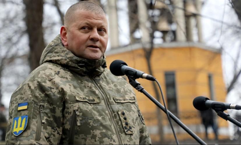 Залужний вручив волонтерці унікальну відзнаку за допомогу ЗСУ