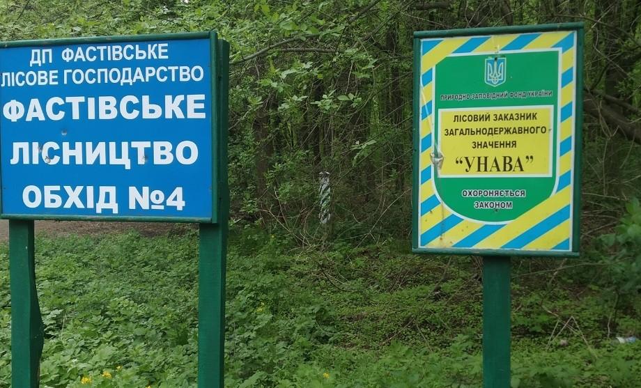 Столичні екологи заявили про перемогу над рейдерами на Київщині: подробиці