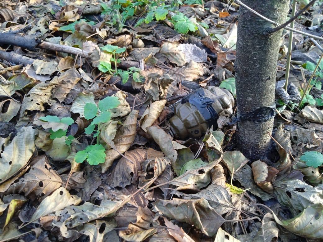 У лісі під Макаровом знову знайшли розтяжку
