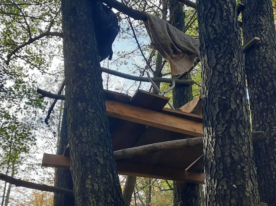 Двох браконьєрів судитимуть за вбивство оленя на території заказника
