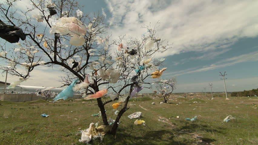 В Україні остаточно заборонені пластикові пакети – що потрібно знати