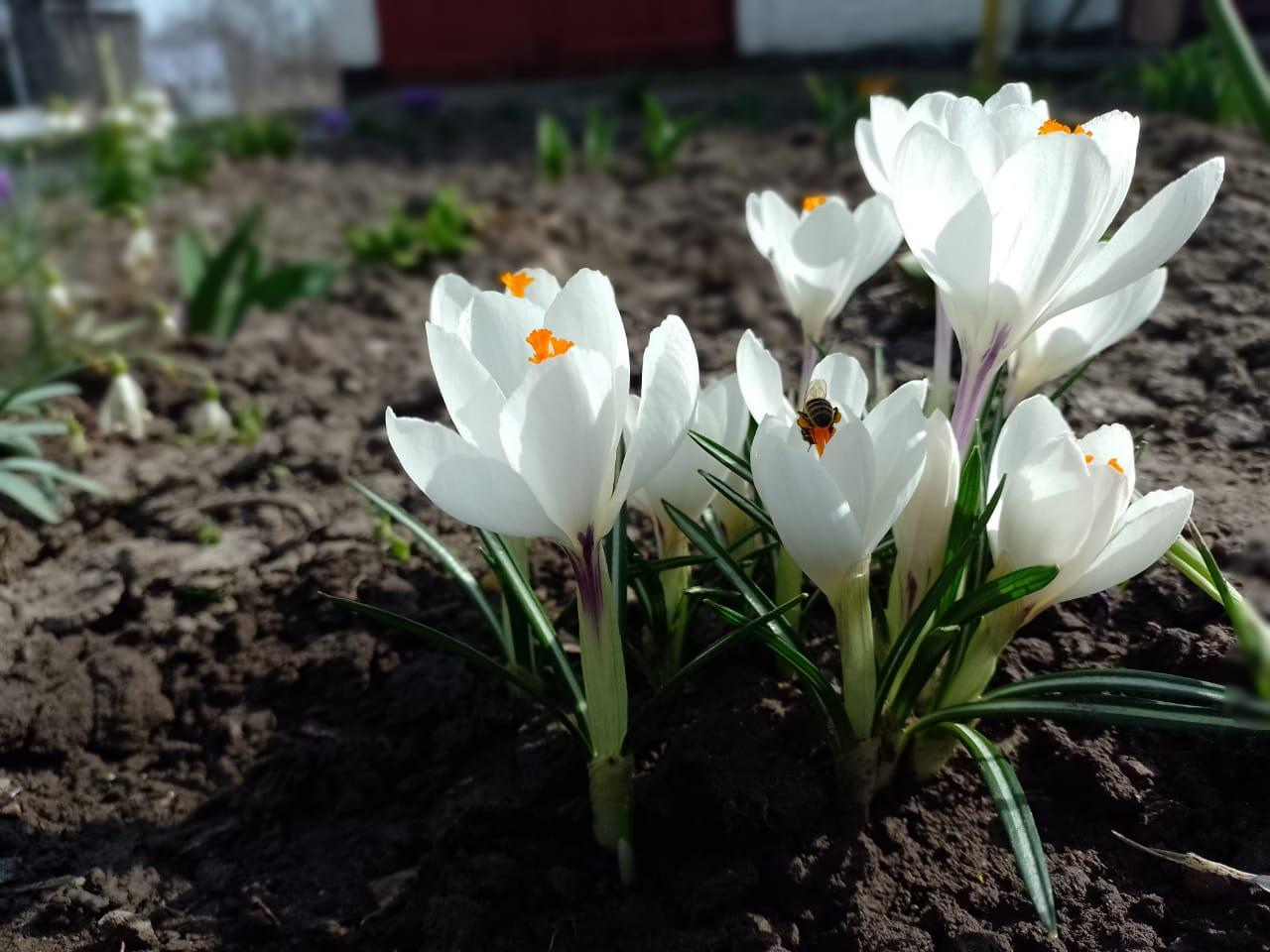 10 березня 15:00