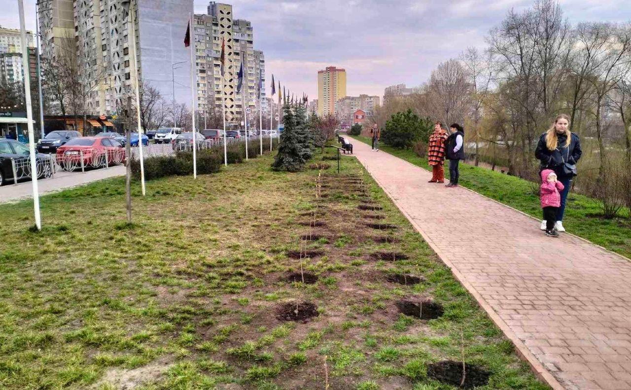 У Києві висадили алею бузку на честь полеглого воїна