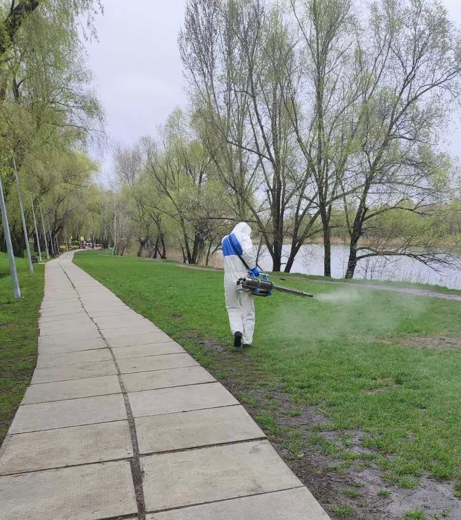 Парки і сквери у Києві обробляють від кліщів