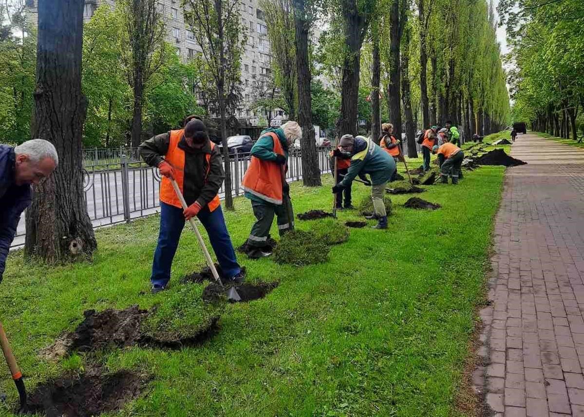 Чекаємо на біло-рожевий квітковий бум: у парку на Русанівській набережній продовжили алею гортензій
