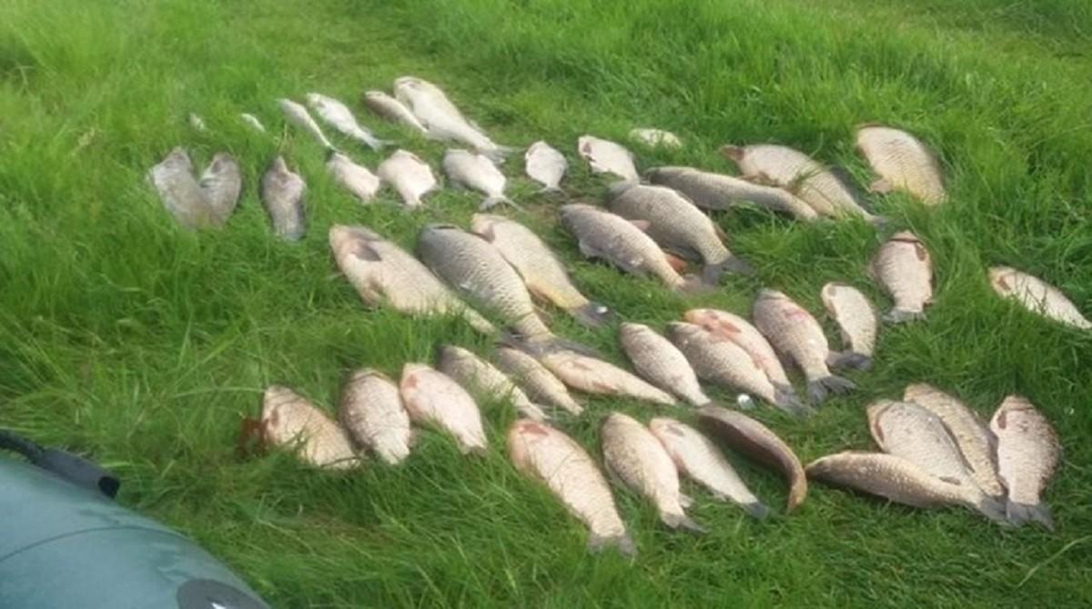 Попались на гачок: на Київщині спіймали браконьєрів з електровудками