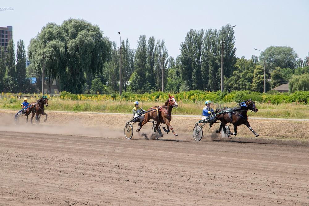 На Київському іподромі відбудуться перегони коней рисистих порід