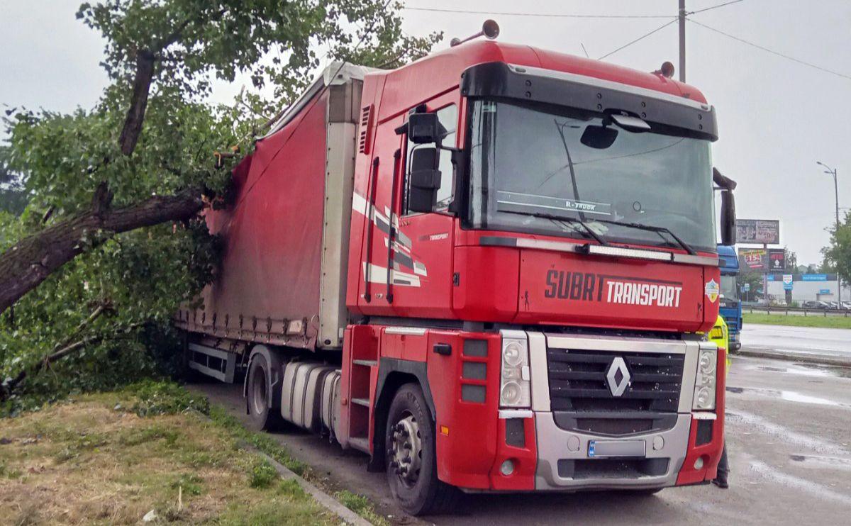 Через нічну грозу у столиці стався деревопад
