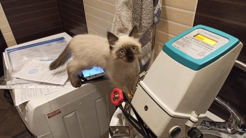 У столиці залишаються не повіреними понад 100 тисяч лічильників тепла