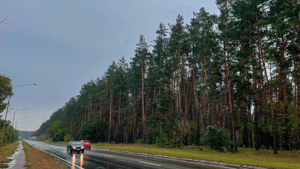 Вмикайте світло фар: у поліції нагадали вимогу ПДР із 1 жовтня