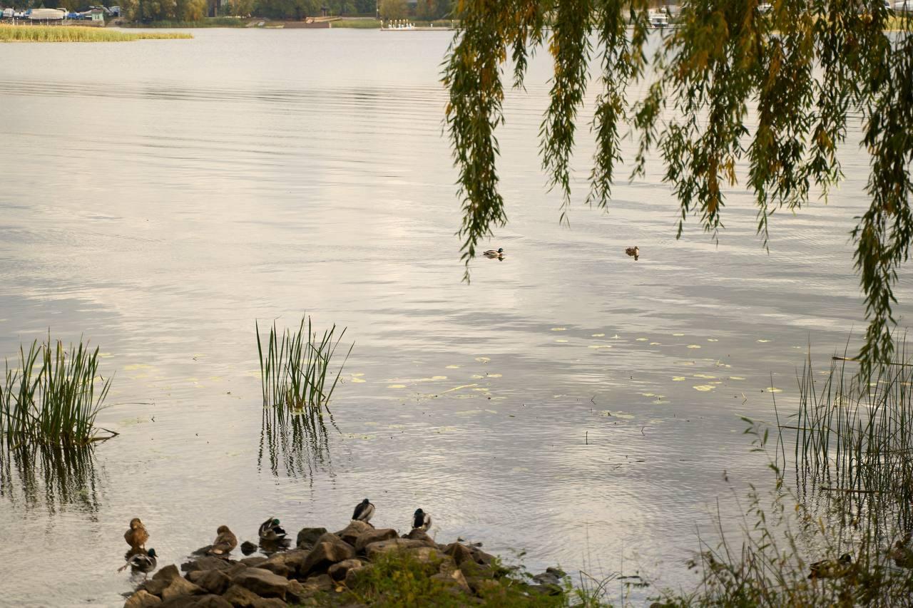 Привласнення гідроспоруд на Оболоні: киянам повернули водні об’єкти за п’яти позовами із семи