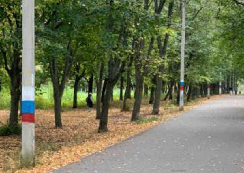 Малював російські прапори в парку: столичні оперативники затримали колаборанта