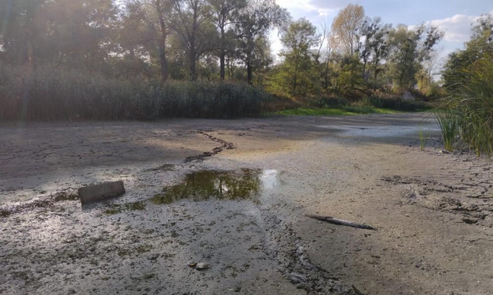 У Києві повністю висохло озеро Синє