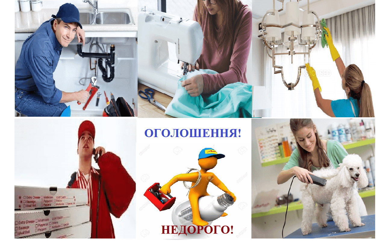 Нянь, сантехніків та кур’єрів з доставки планують розшукувати через сайти оголошень, щоб платили податки – законопроект в Раді