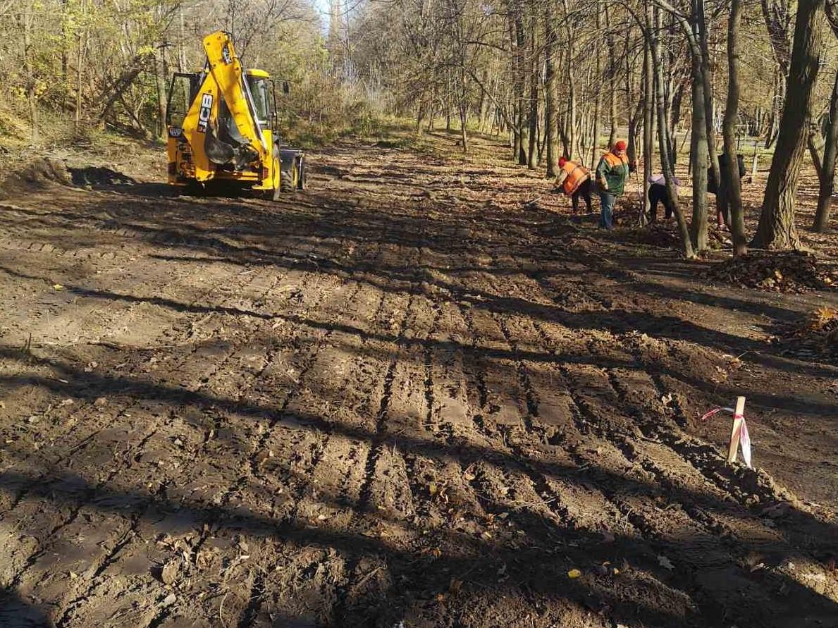 У Голосіївському парку створюють майданчик для вигулу собак