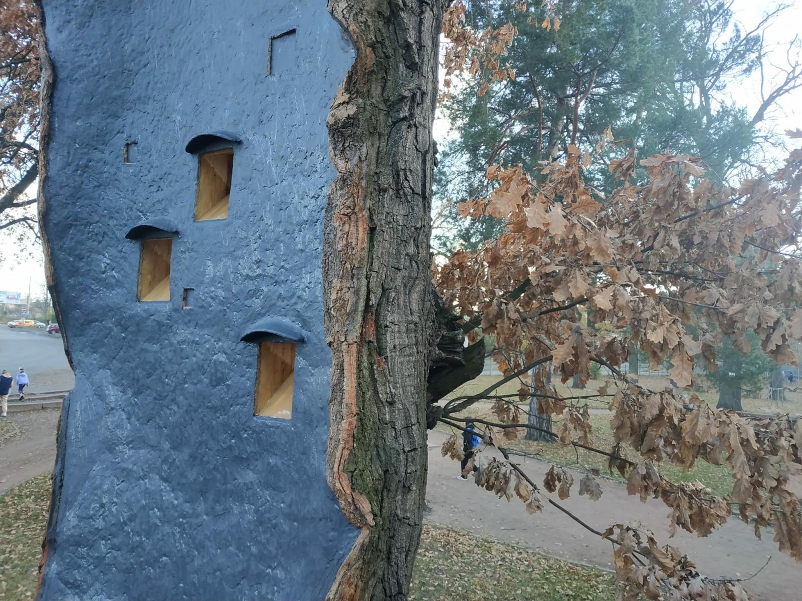 Віковий дуб на Київщині отримав друге життя і слугуватиме будиночком для птахів і кажанів