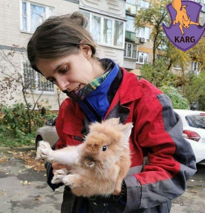 У Києві невідомі викинули на смітник кролика та черепаху