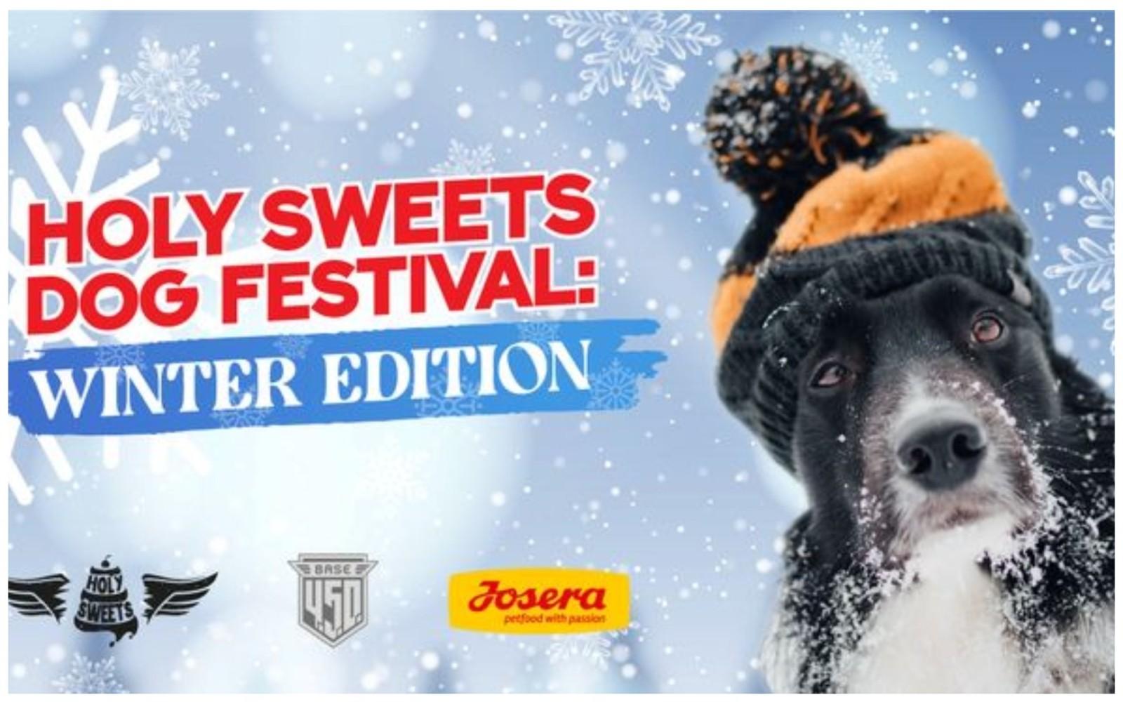 Зимові гуляння мають свій вайб: киян чекають на HOLY SWEETS DOG FESTIVAL