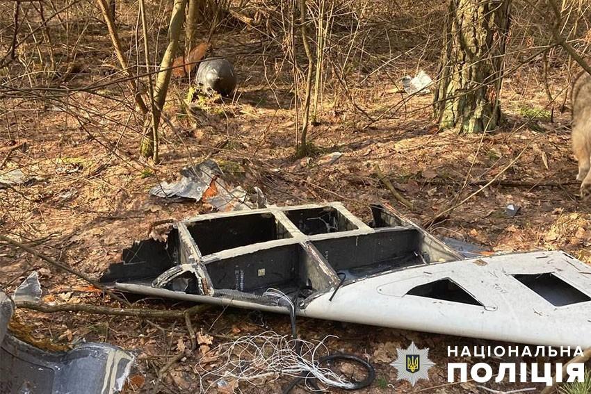 У лісосмузі біля Києва виявили рештки збитого шахеда з бойовою частиною