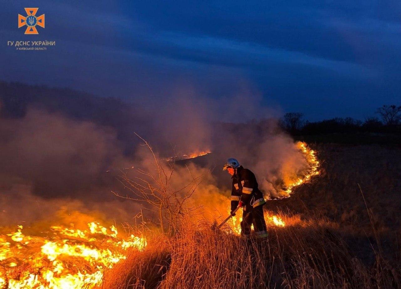 Весняне тепло розбудило паліїв трави: екологи нагадують про наслідки для здоров’я, довкілля і гаманця