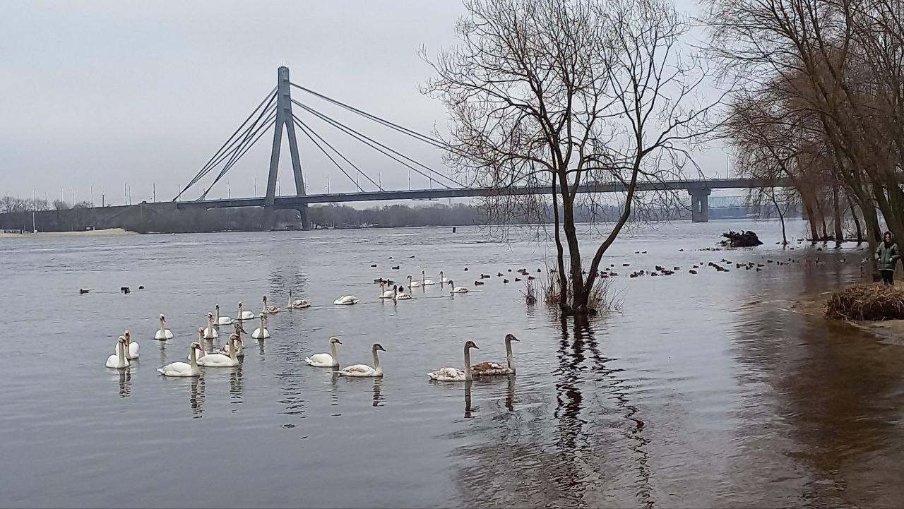 Цьогорічна зима у Києві була найхолоднішою за 15 років