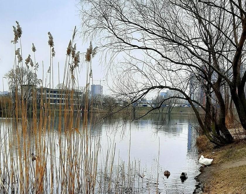До кінця тижня у Києві розпогодиться – синоптики дали оптимістичний прогноз