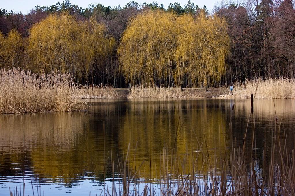 Березень у Києві виявився на 2,3°С теплішим, ніж зазвичай