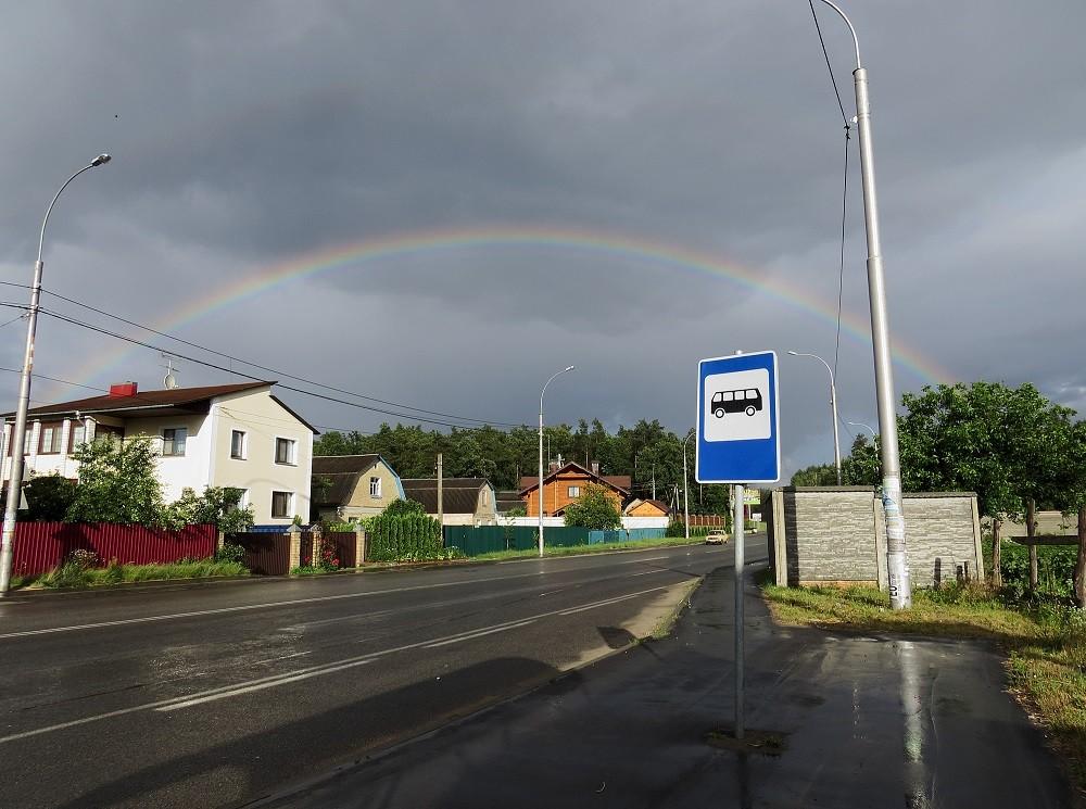 Києву повернули земельну ділянку біля Біличанського лісу, на якій розташована траса Р-30