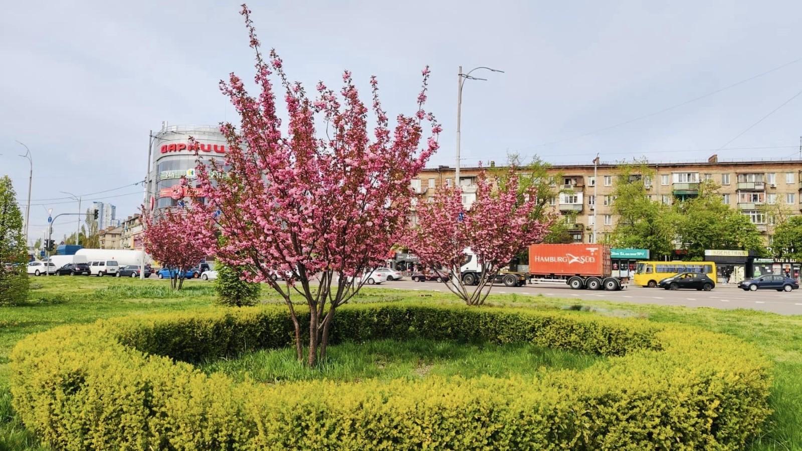 Весна побила 15 температурних рекордів і потрапила у трійку найтепліших за всю історію спостережень