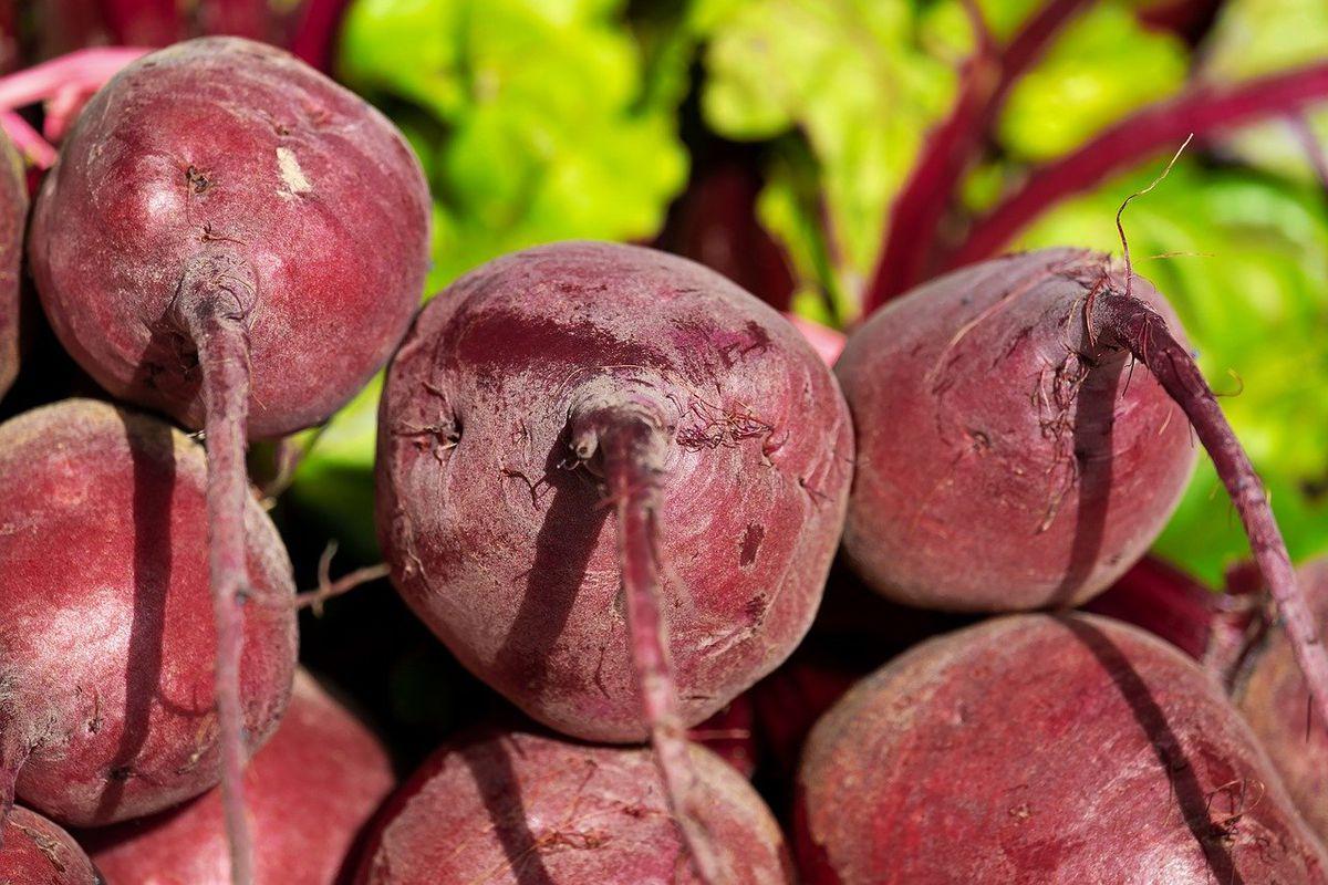 Фермери перерахували вартість популярного продукту