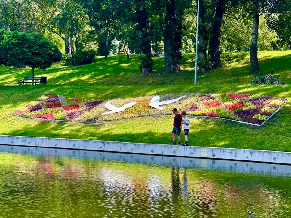 Краса на Солом’янці: у парку біля озера простелився “рушник”, вишитий квітами