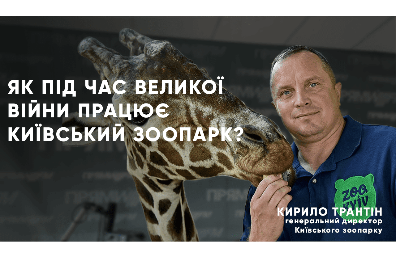 “Навчили слона йти в укриття під час тривог”: як живе Київський зоопарк під час великої війни