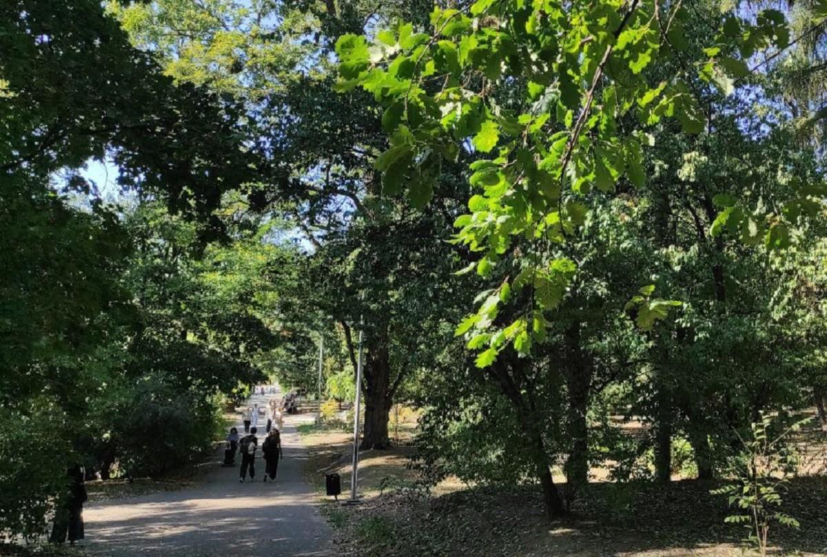 Метеоліто у Києві все ще триває, а дерева в парках зелені, як у липні – загадки природи