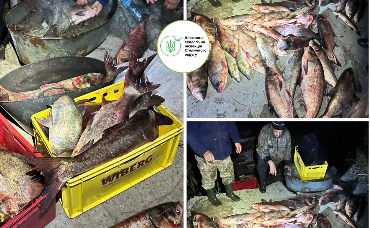 На Київщині браконьєр накрав риби на 142 тисячі гривень