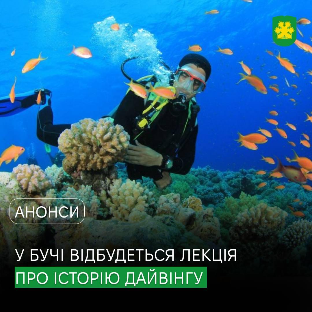 Відкривай глибини знань про дайвінг!