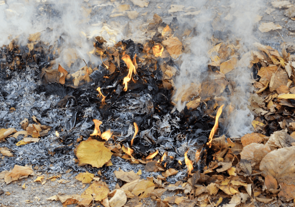 Киян закликають не спалювати сухе листя та траву: за це передбачені штрафи