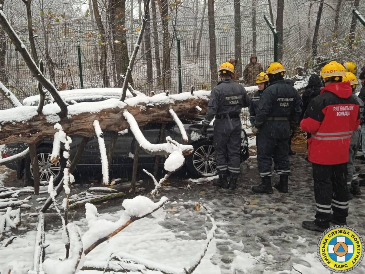 У Святошинському районі дерево впало на припарковані автівки