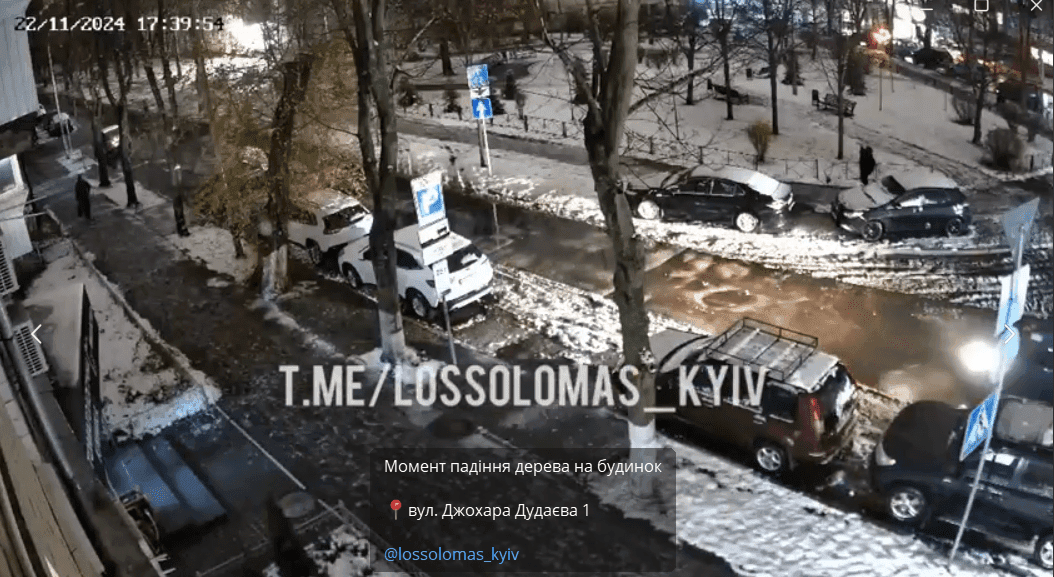 Дерево впало на будинок на вулиці Джохара Дудаєва (відео)