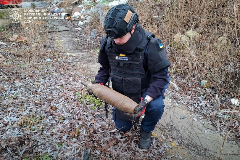На Київщині чоловік виявив мінометну міну у лісопарковій зоні