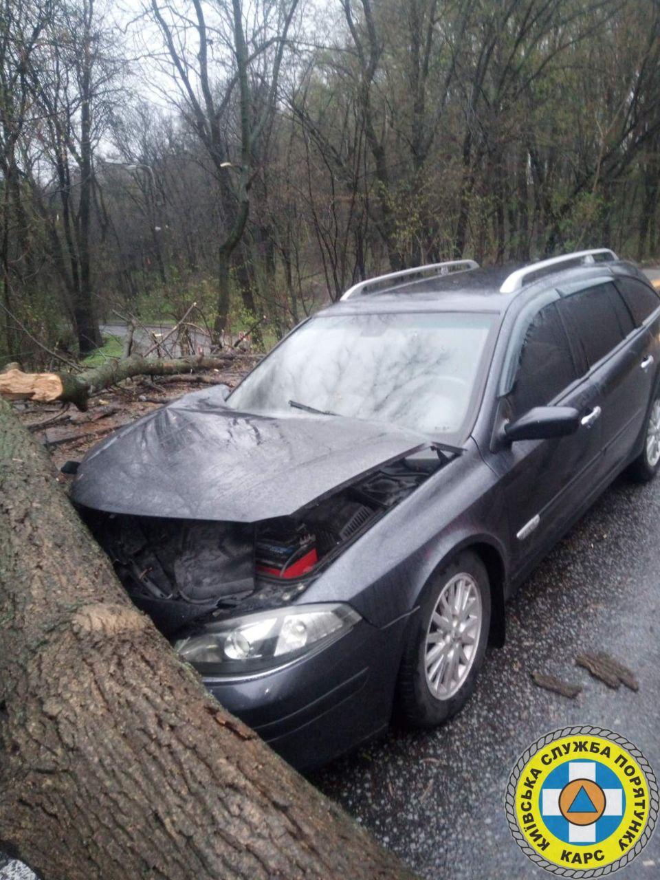 У Голосієві прибрали дерево, яке впало на автівку і обірвало кабель освітлення