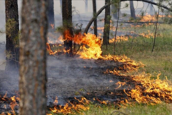 У Києві та області оголошено надзвичайний рівень пожежної небезпеки