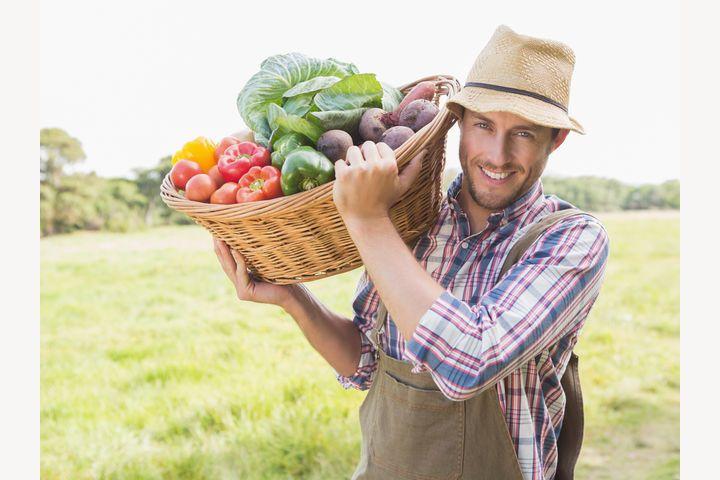 Органічну продукцію в Україні маркуватимуть, як в ЄС: де шукати якісне