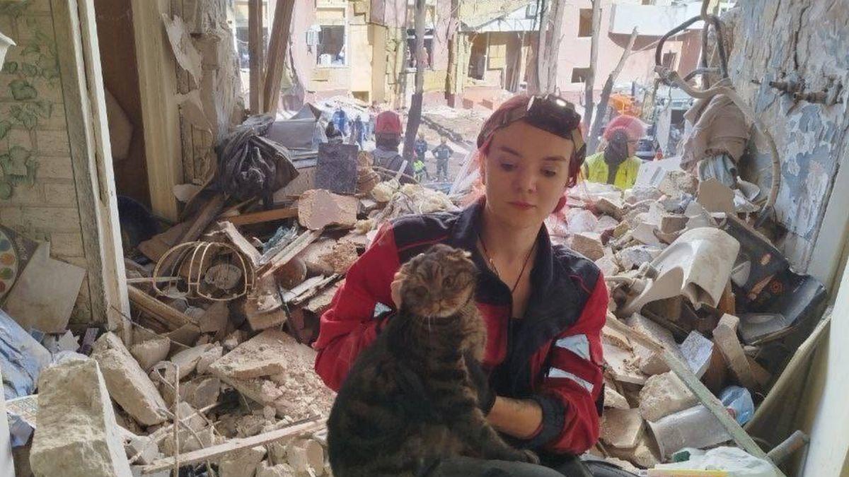 Кіт вижив під завалами будинку в Києві після російського обстрілу