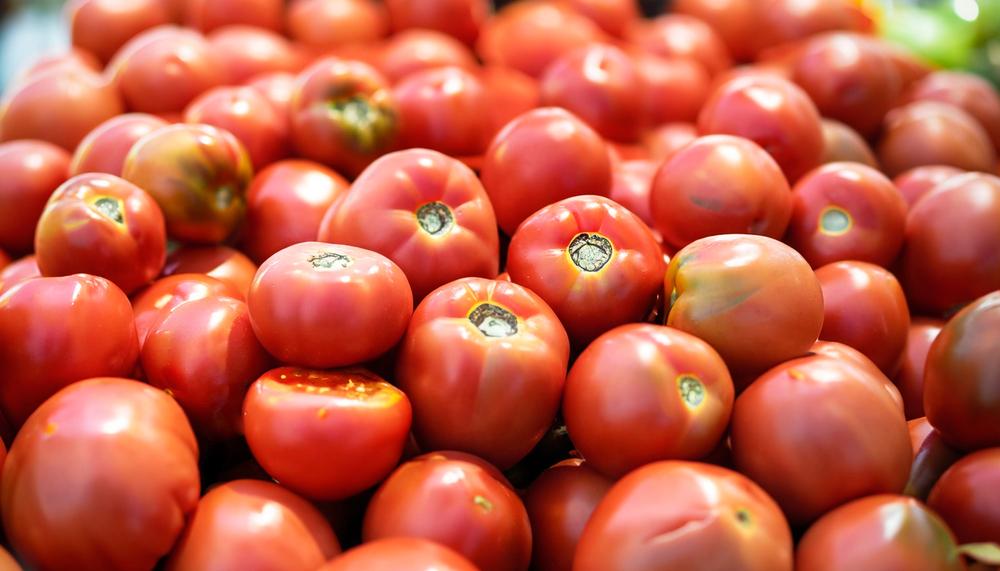 Де у Києві сьогодні проходять продуктові ярмарки: локації