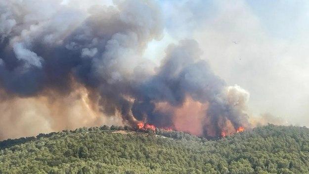 У Франції масштабна пожежа знищила 16 тис. гектарів, є жертви