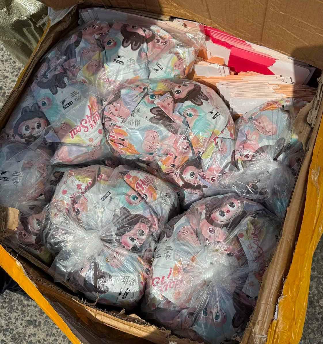 На Закарпатті затримали партію підробок «Labubu» на пів мільйона гривень