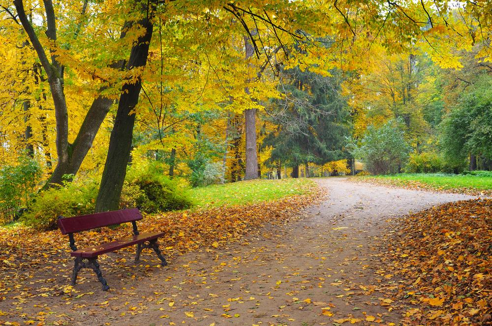 Які сюрпризи підготувала погода киянам у середу: прогноз