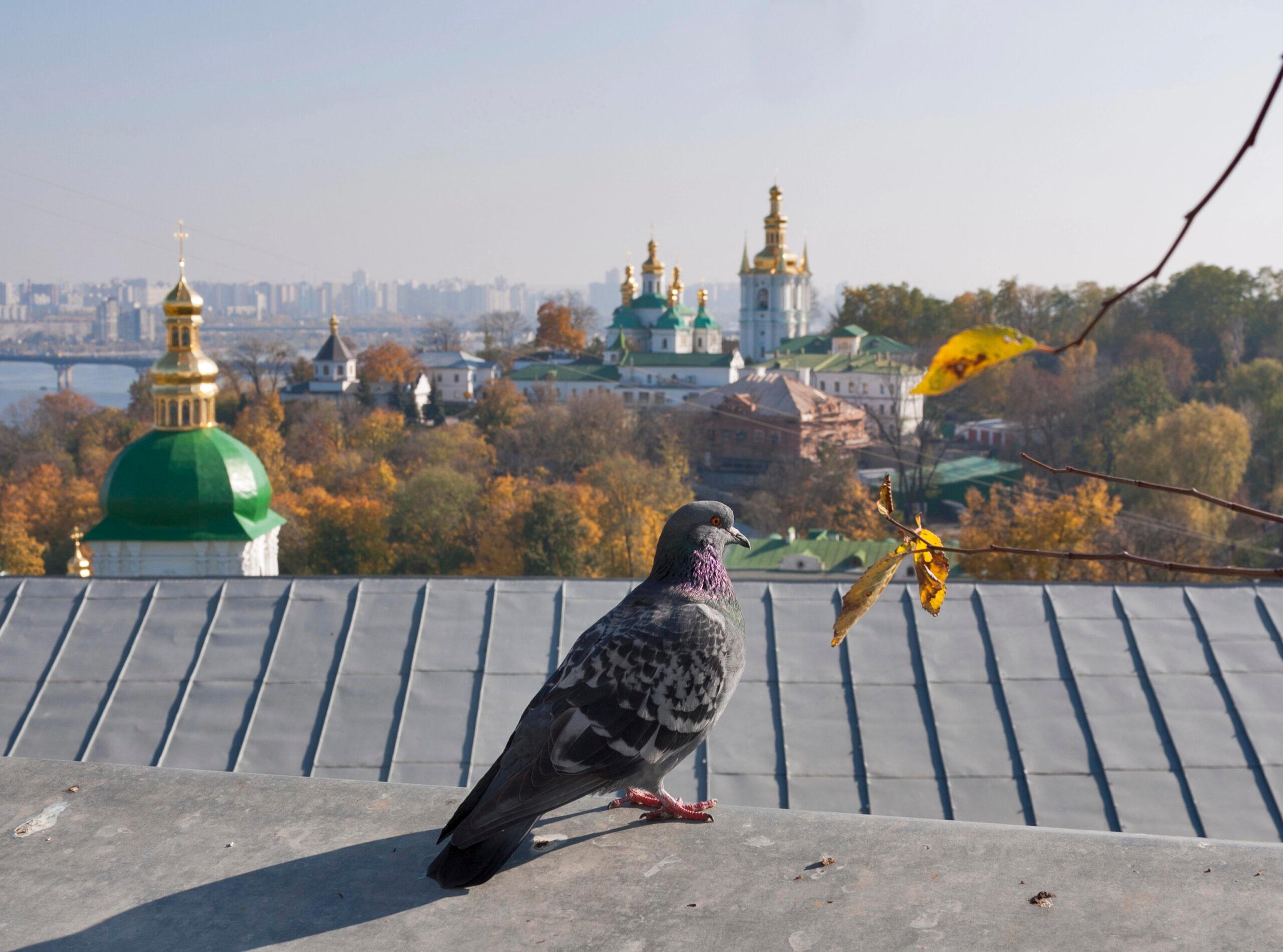 Вересень у Києві був на 1,4℃ теплішим норми