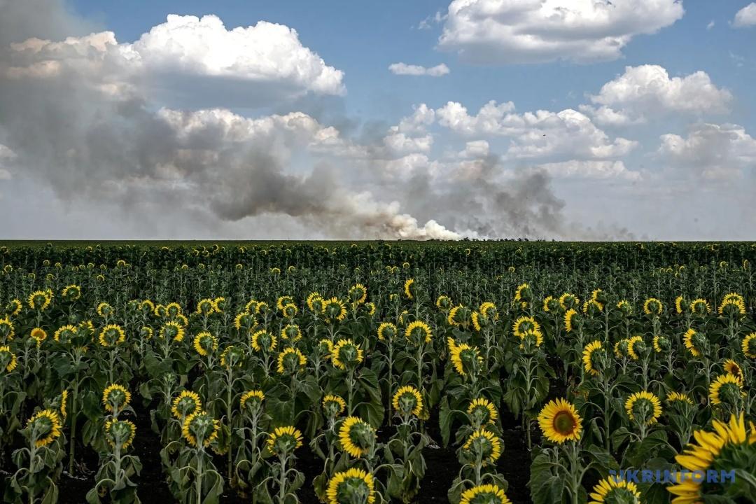 До сотні найкращих фото 2025 року увійшли 5 світлин, зроблених в Україні